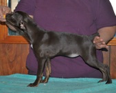Enlarge photo 15