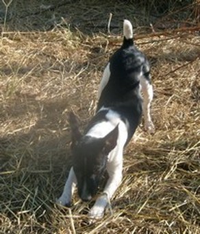 Enlarge photo 13