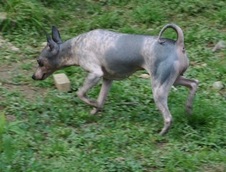 Enlarge photo 6
