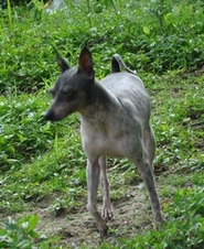Enlarge photo 8