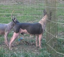 Enlarge photo 16