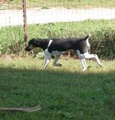 Enlarge photo 11