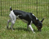 Enlarge photo 9