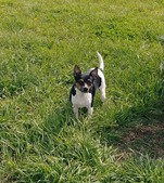 Enlarge photo 3