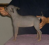 Enlarge photo 15