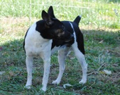 Enlarge photo 16