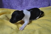 Enlarge photo 12