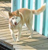 Enlarge photo 9
