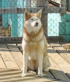 Enlarge photo 7