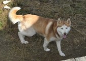 Enlarge photo 18