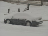 Enlarge photo 45