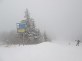 Enlarge photo 51