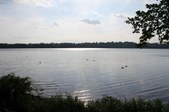 Enlarge photo 46