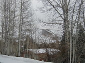 Enlarge photo 52