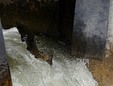 Enlarge photo 49
