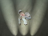 Enlarge photo 67