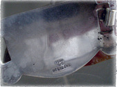 Enlarge photo 182
