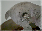 Enlarge photo 305