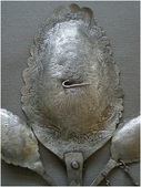 Enlarge photo 474