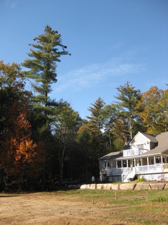 Enlarge photo 87