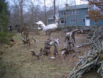 Enlarge photo 14