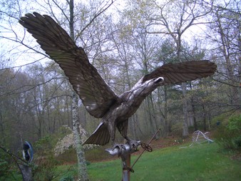 Enlarge photo 24
