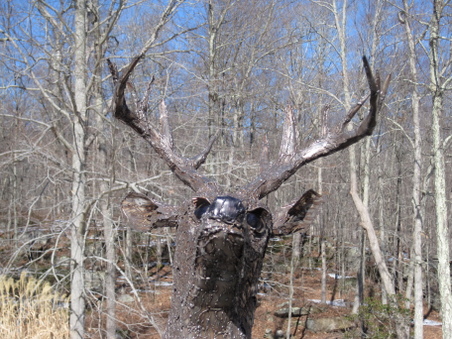 Enlarge photo 13