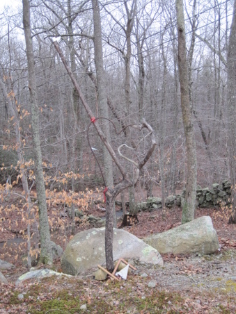 Enlarge photo 34