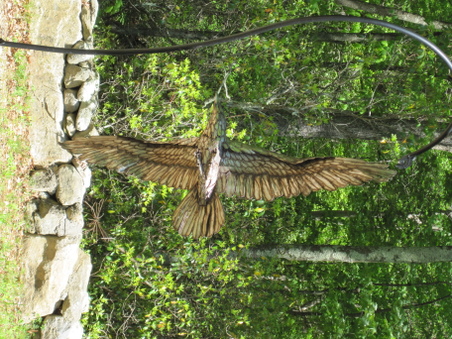 Enlarge photo 40