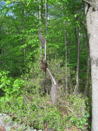 Enlarge photo 69