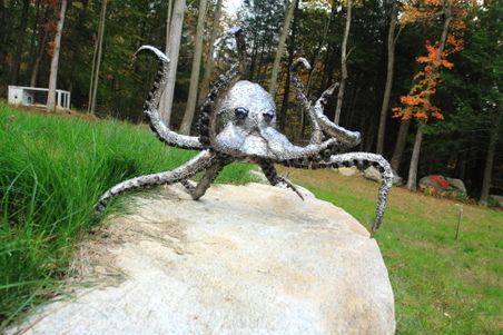 Enlarge photo 29
