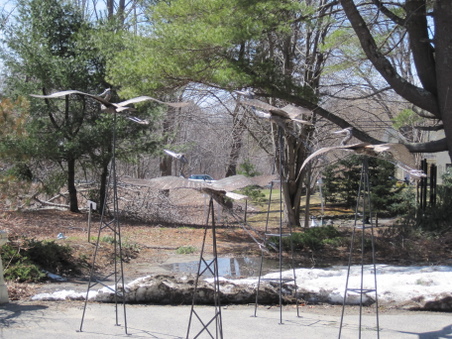 Enlarge photo 15
