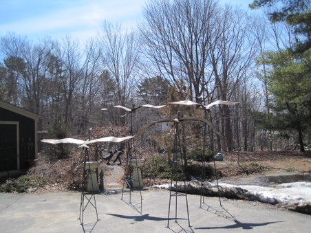 Enlarge photo 14
