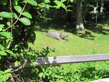 Enlarge photo 33