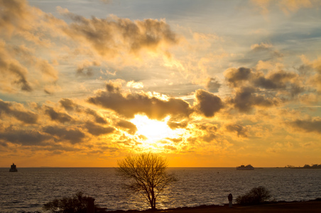Enlarge photo 36