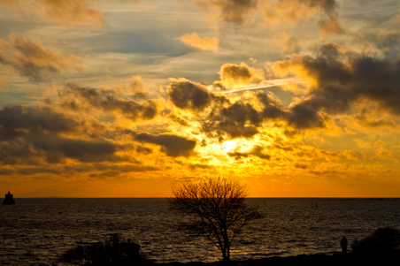 Enlarge photo 37
