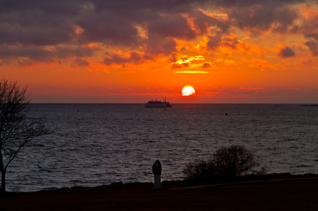 Enlarge photo 41