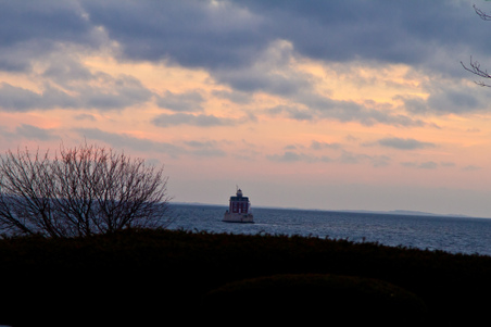 Enlarge photo 42