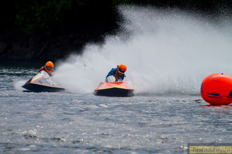 Enlarge photo 259