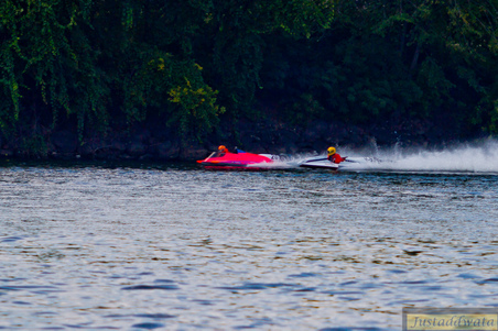 Enlarge photo 351