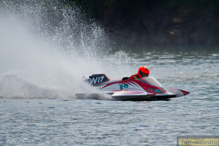 Enlarge photo 421