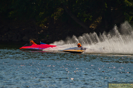 Enlarge photo 517
