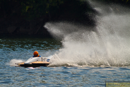 Enlarge photo 531