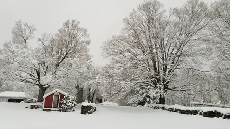 Enlarge photo 32