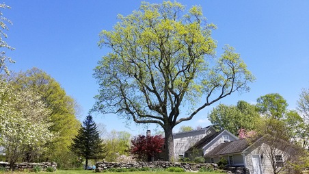 Enlarge photo 25