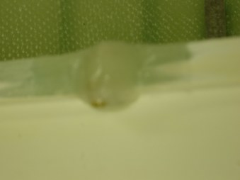 Enlarge photo 43
