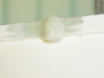 Enlarge photo 44