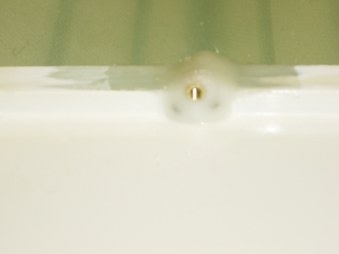 Enlarge photo 45