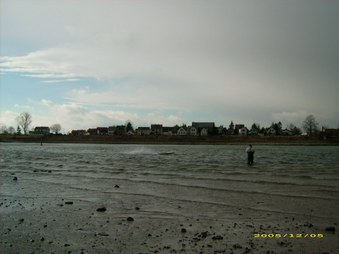 Enlarge photo 239