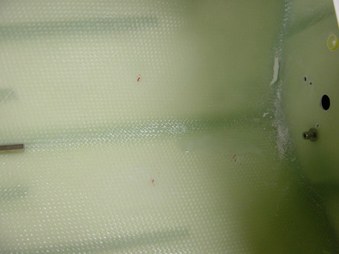Enlarge photo 80
